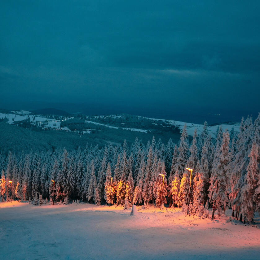skiing